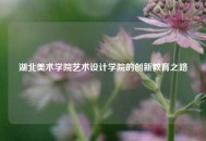 湖北美术学院艺术设计学院的创新教育之路