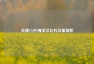 天津小升初学区划片政策解析