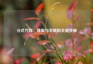 分式方程：理解与求解的关键步骤