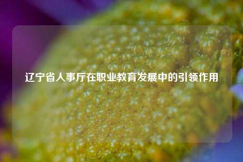 辽宁省人事厅在职业教育发展中的引领作用