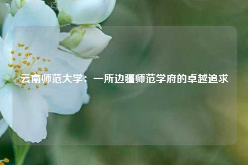 云南师范大学：一所边疆师范学府的卓越追求