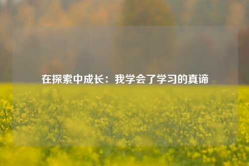 在探索中成长：我学会了学习的真谛